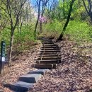 백야자연휴양림 이미지