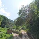 충북염소농장 이미지