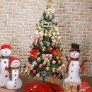 트리트리 이미지