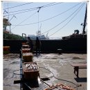 부산오징어 이미지