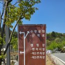 세이지힐 오토캠핑장 이미지