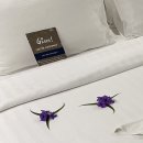 잉가모텔 | [태국여행] 방콕 호텔 : 더쿼터짜오프라야(풀액세스룸, 슈페리어 킹룸, 조식, 수영장, taobin후기)