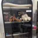 옷빼고다 이미지