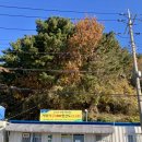 망산공원 | 🚢 한산도 완벽코스! 망산 1시간 등산 + 제승당 + 스탬프까지 (차량선적 꿀팁)