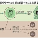 L 글루타민 및 (근육, 과다복용) 이미지