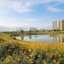 배곧생명공원 이미지