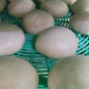 현이네왕만두 이미지