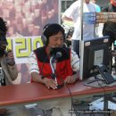 브레인스카우트 이미지