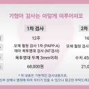노블클라쎄산부인과 이미지