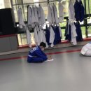 가온용인대유도관 이미지