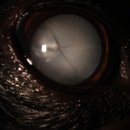 래이동물의료센터 이미지