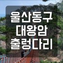 해달뫼