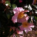 사랑어린학교 이미지