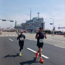 새만금 | 2026 군산새만금마라톤 대회 풀코스 후기