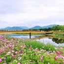 제44회 남도국악제 티스토리