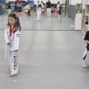 마스터케이 태권도 이미지