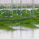 옹암농장 이미지