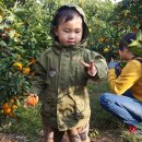 승준농장(4) 이미지