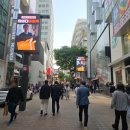 비염주사 한피부과 내돈내산 2회차 후기(+2주 경과후기)