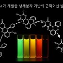 삼환환경개발 전자신문