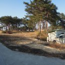 노동하리 이미지