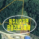 만종공인중개사사무소 이미지