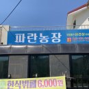 산흥농장 네이버블로그