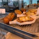 순포습지 | 내돈내먹 내돈내산 | 강릉 사천해변 베이커리카페 오션뷰 카페곳 + 순포습지 산책 후기