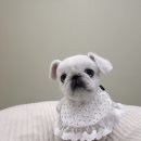 토토페키 이미지