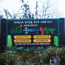 왕피천힐링팜 이미지