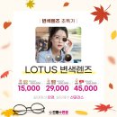 으뜸플러스안경 부산당감점 이미지