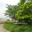 진달래목장 이미지