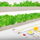 구축농장 이미지