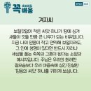 콩깍지 이미지