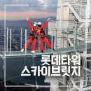 롯데타워 | 롯데타워 스카이브릿지 투어 금액 황금 시간대 후기