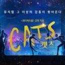 캣츠코리아 이미지