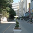 중화동-109 Daum카페