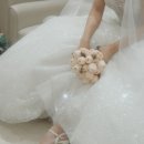 호이테 | 빈티지 감성 호이테스냅 아이폰스냅 디카스냅 계약 후기