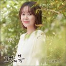 김보정 카카오 검색결과