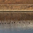 경기둘레길 부천56코스 이미지