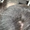 비전고등학교 | 소사벌 미용실 새치염색 후기 리안헤어 평택소사벌점