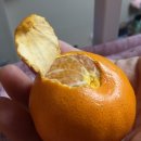 파라파라마트 이미지