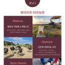 타조투어