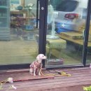 합천해피캠핑 이미지