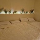 로하 풀빌라 이미지