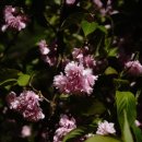 산수화민박 이미지