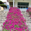 자은중학교 이미지