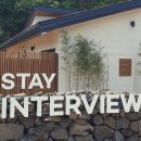 스테이인터뷰 이미지