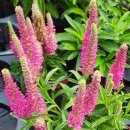 장백농장 이미지