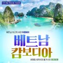(주)비경투어여행사 이미지